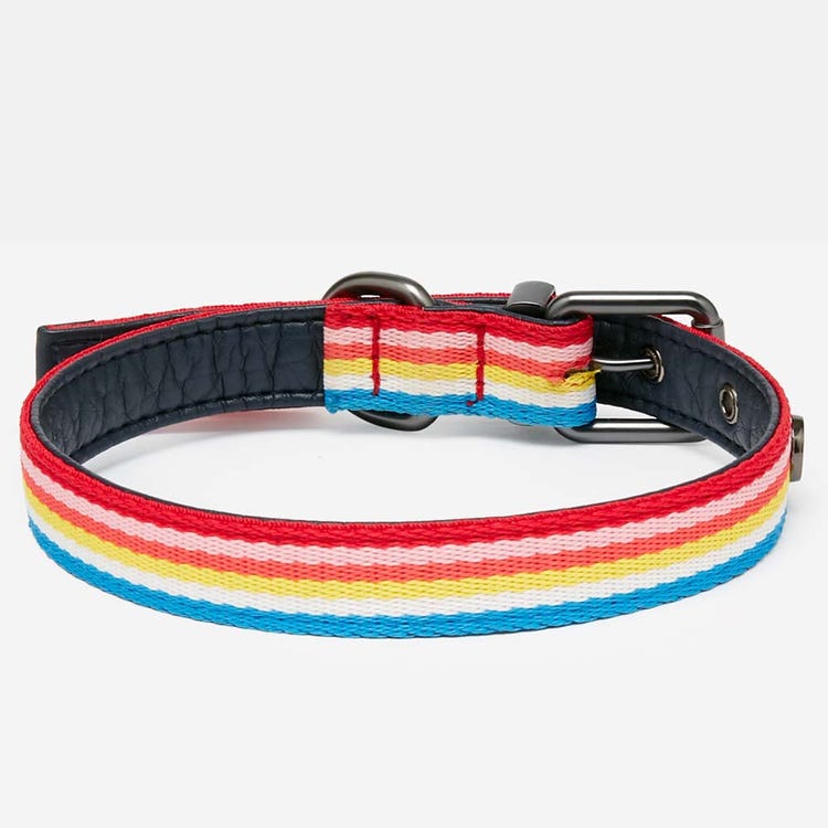 Joules Rainbow Stripe Dog Collar image 1