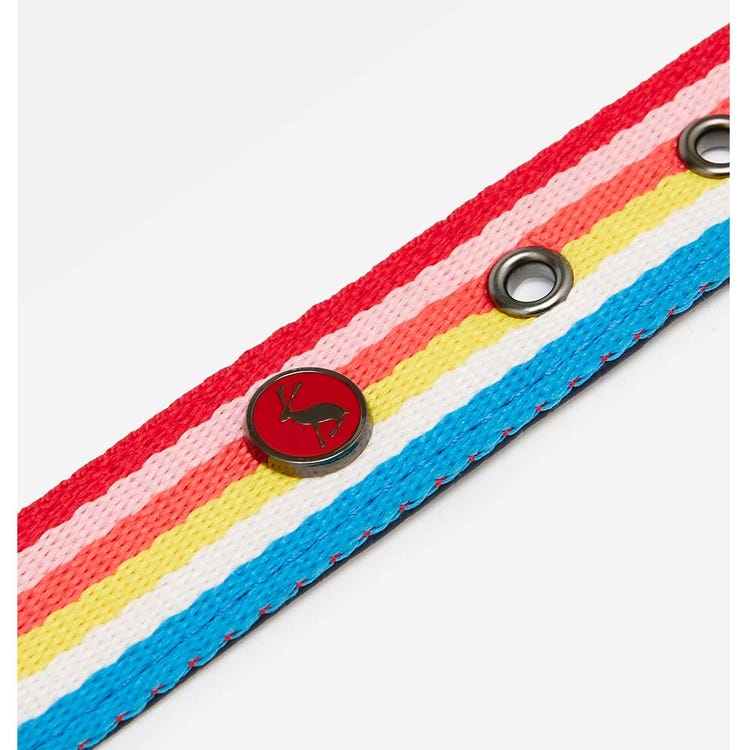 Joules Rainbow Stripe Dog Collar image 4