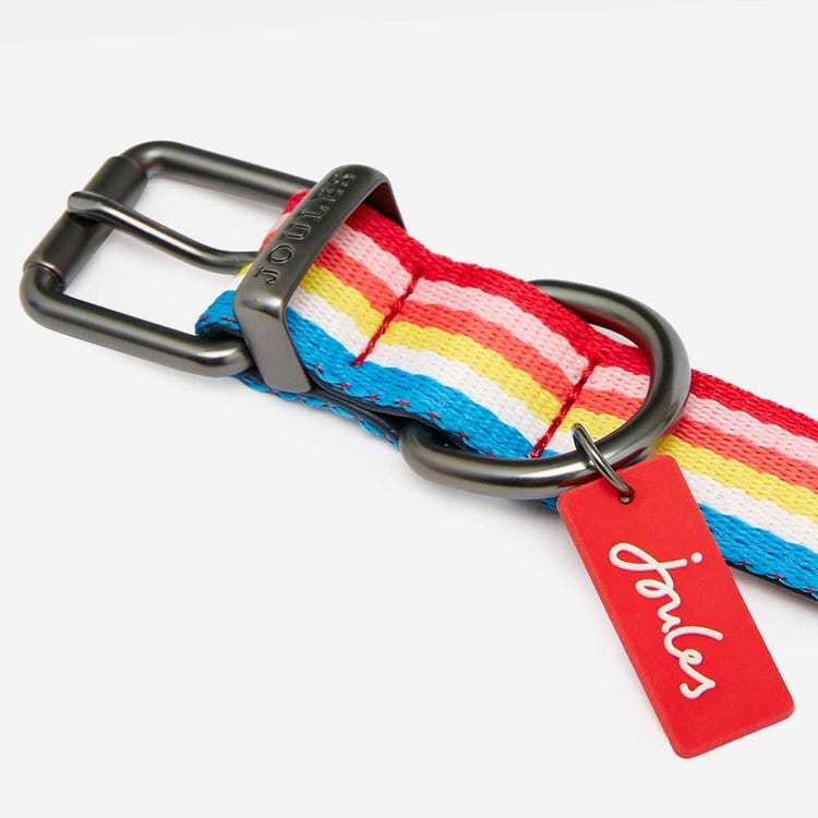 Joules Rainbow Stripe Dog Collar image 5