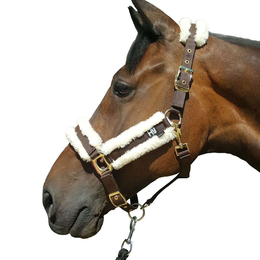 Hy Equestrian Sheepskin Head Collar image 2