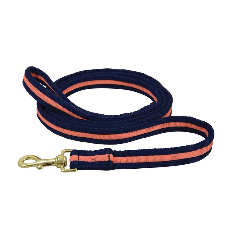 Hy Equestrian Soft Webbing Lead Rein Without Chain image 2