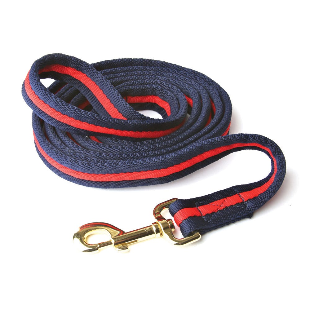 Hy Equestrian Soft Webbing Lead Rein Without Chain image 6