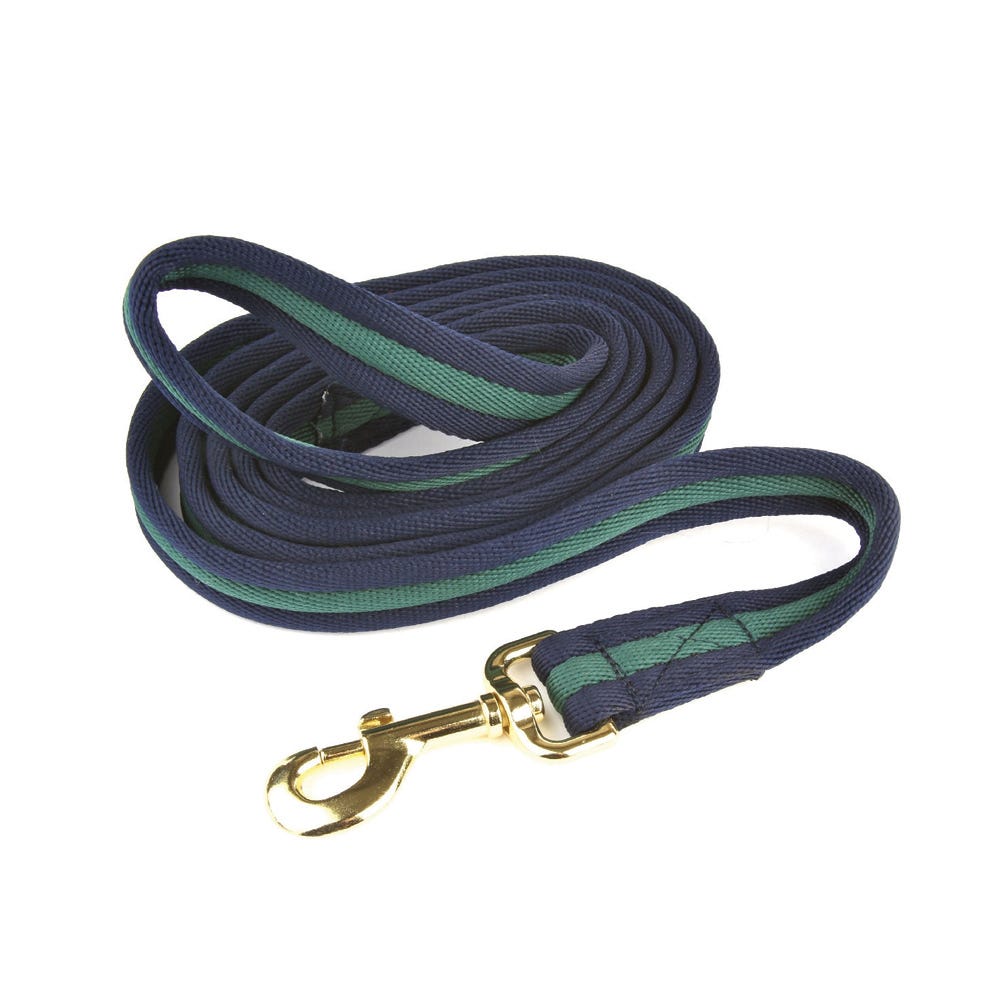 Hy Equestrian Soft Webbing Lead Rein Without Chain image 7