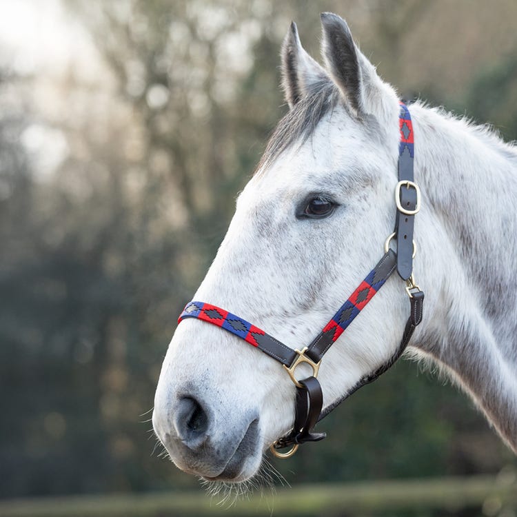 Hy Equestrian Polo Leather Head Collar image 3