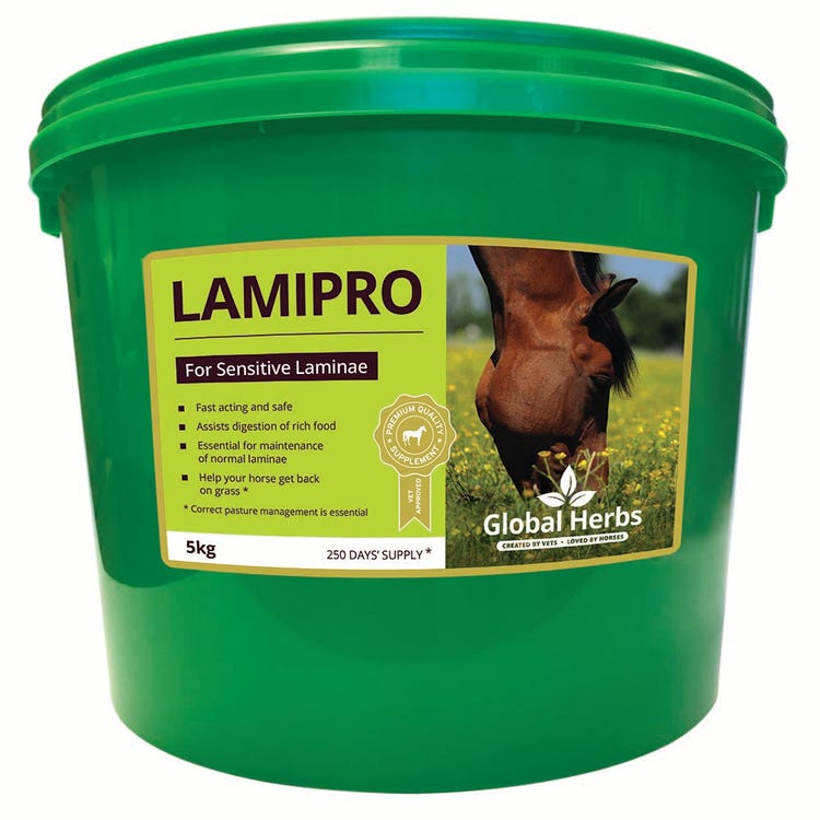 Global Herbs LamiPro Powder image 2