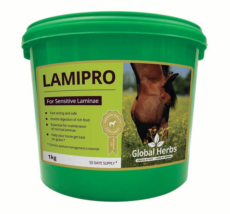 Global Herbs LamiPro Powder image 1