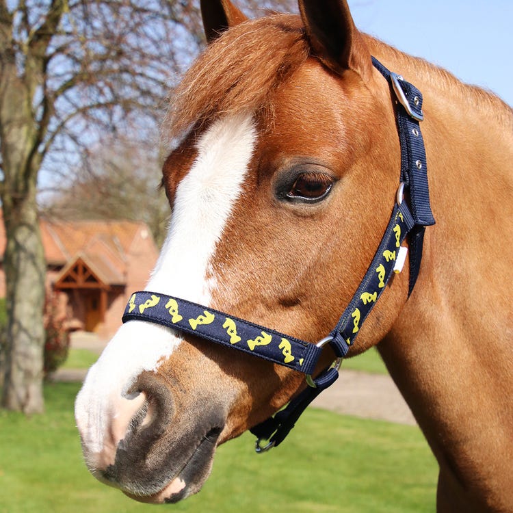 Lancelot Head Collar &amp; Lead Rope by Little Knight image 2