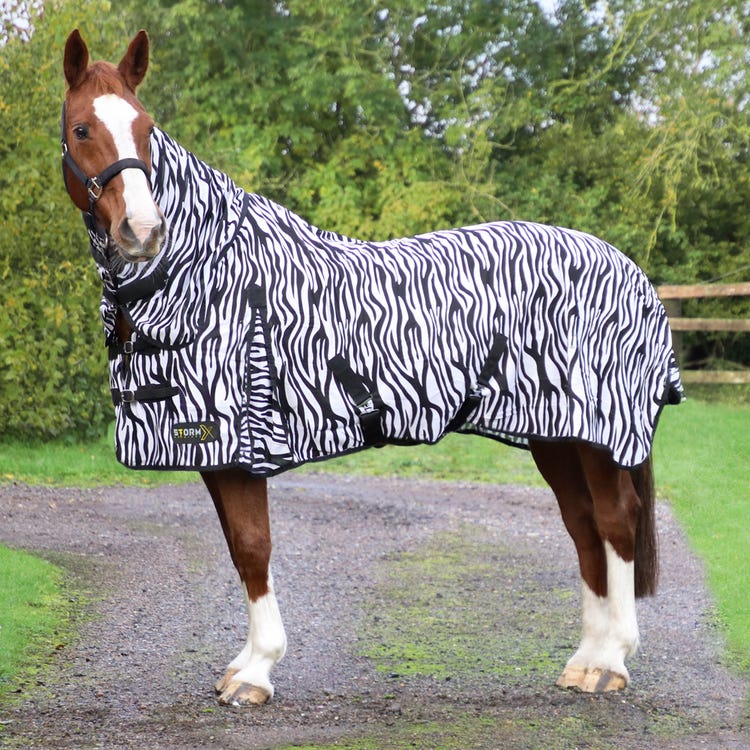 StormX Original Zebra Print Fly Rug image 1