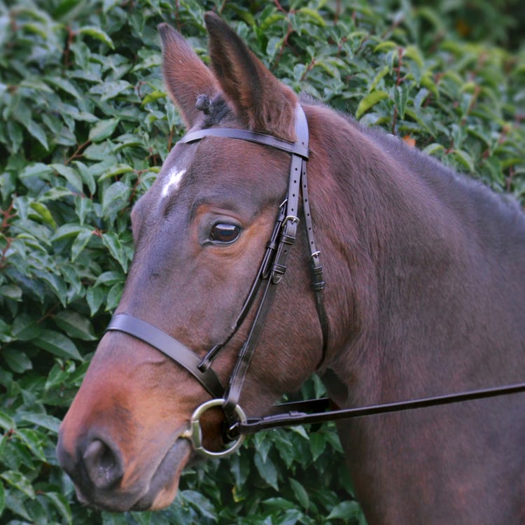 Hy Equestrian Hunter Bridle with Rubber Grip Reins image 3