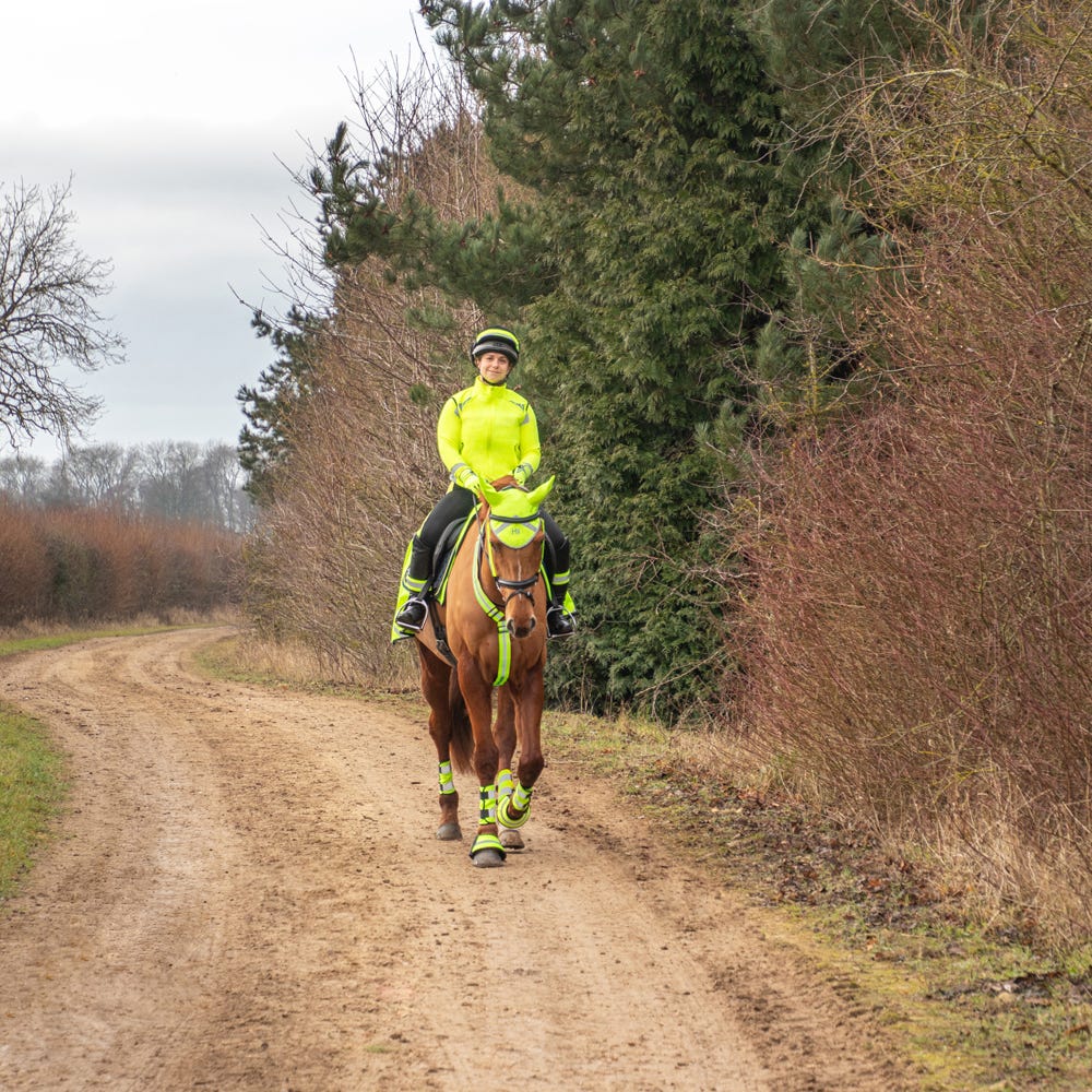 Reflector Ear Bonnet by Hy Equestrian image 3