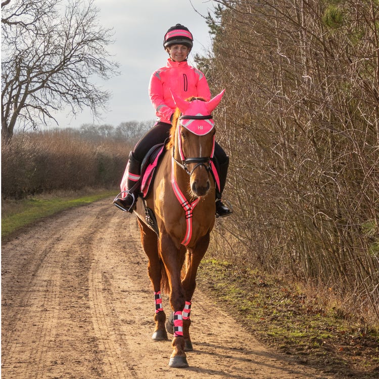 Reflector Ear Bonnet by Hy Equestrian image 5