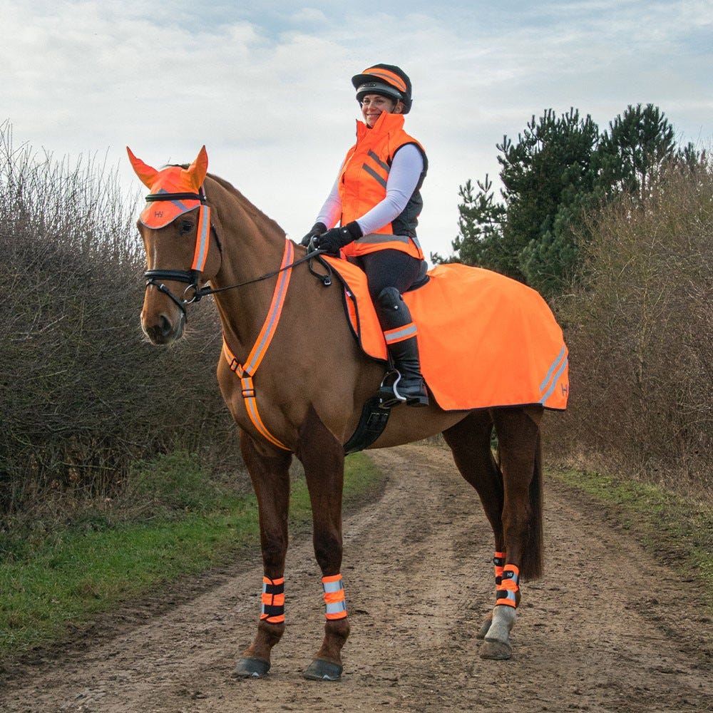 Reflector Ear Bonnet by Hy Equestrian image 7