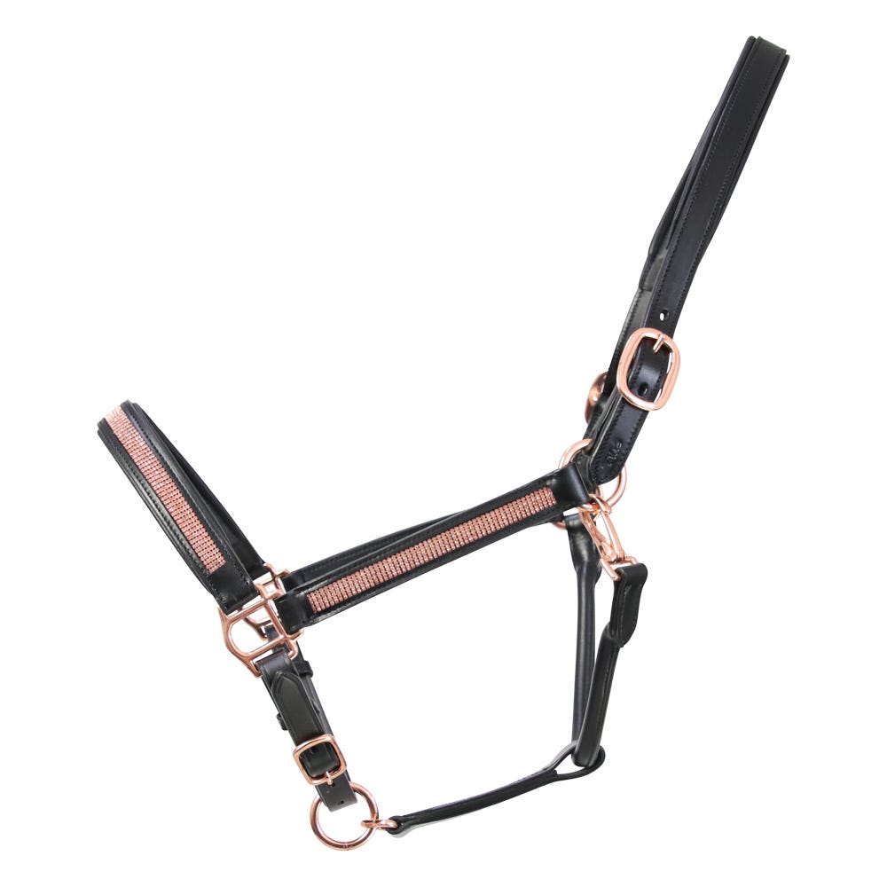 Hy Equestrian Rosciano Rose Gold Head Collar image 1