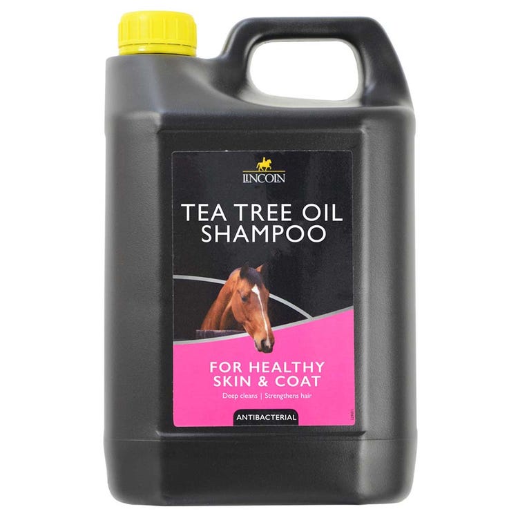 Lincoln Tea Tree Oil Shampoo image 3