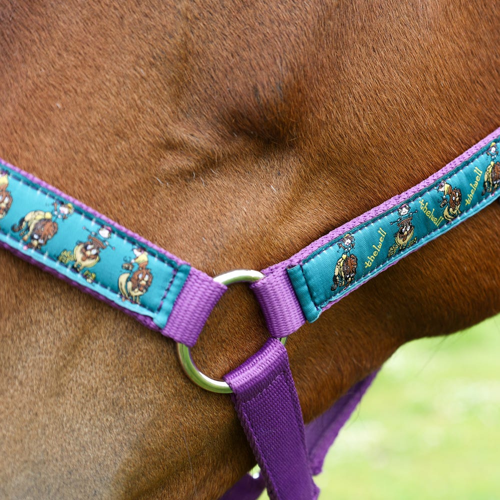 Hy Equestrian Thelwell Collection Pony Friends Head Collar &amp; Lead Rope image 4