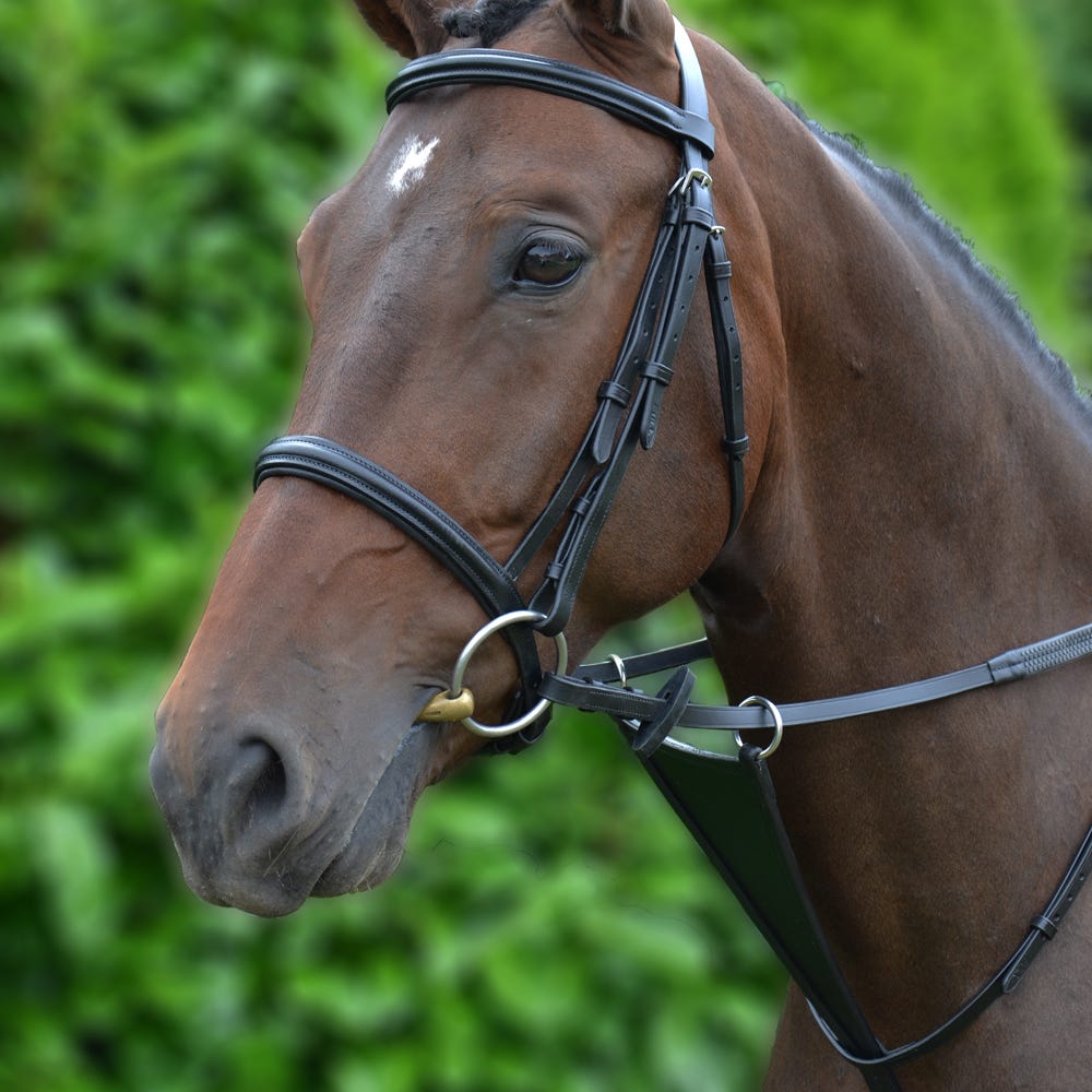 Hy Equestrian Bib Martingale image 1