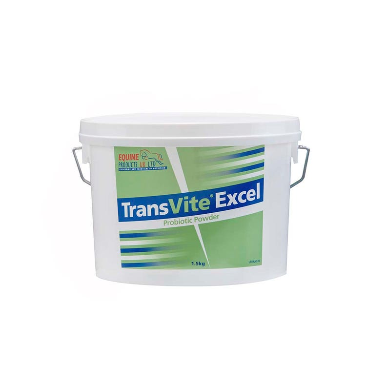 Transvite Excel image 1