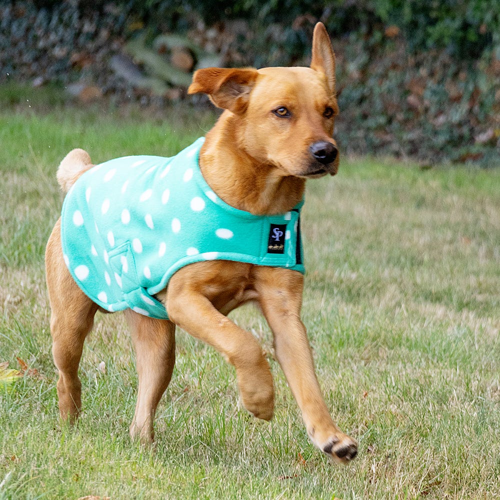 Supreme Products Dotty Fleece Dog Coat image 6