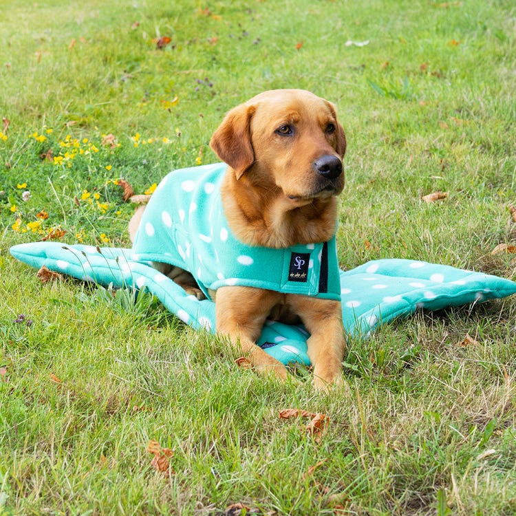 Supreme Products Dotty Fleece Dog Coat image 4