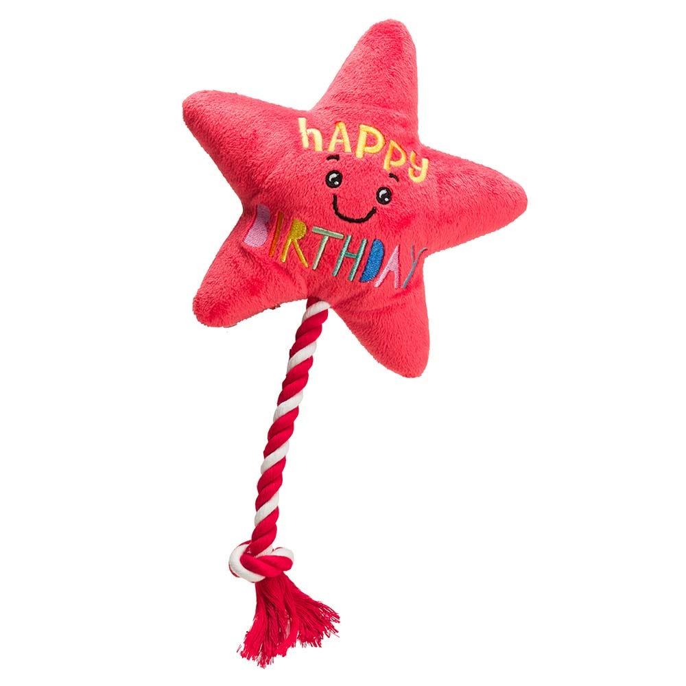 House of Paws Star Balloon with Rope Toy image 1