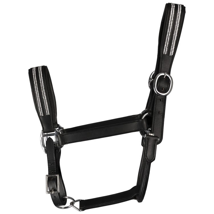 Hy Equestrian Anodize Leather Head Collar image 1