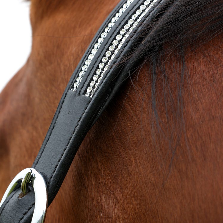 Hy Equestrian Anodize Leather Head Collar image 3