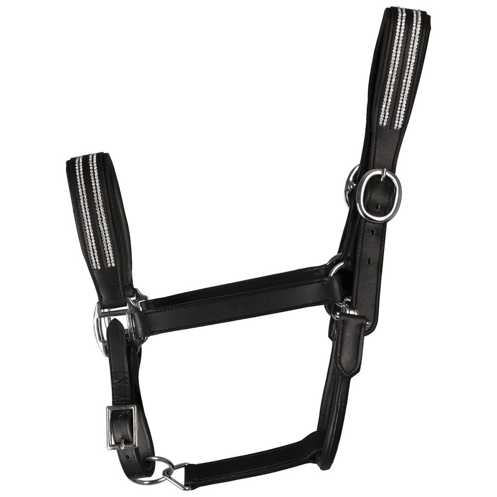 Hy Equestrian Anodize Leather Head Collar image 4