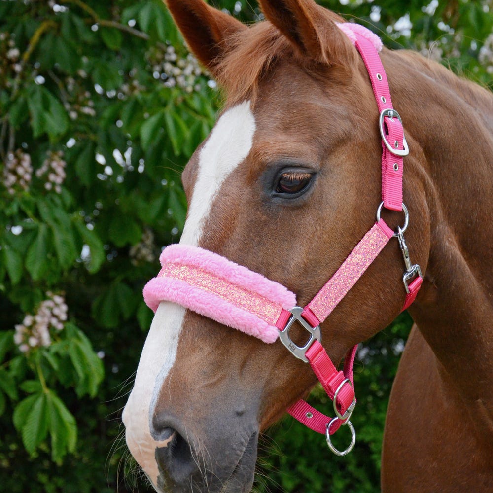 Hy Equestrian Dazzle Head Collar  image 7
