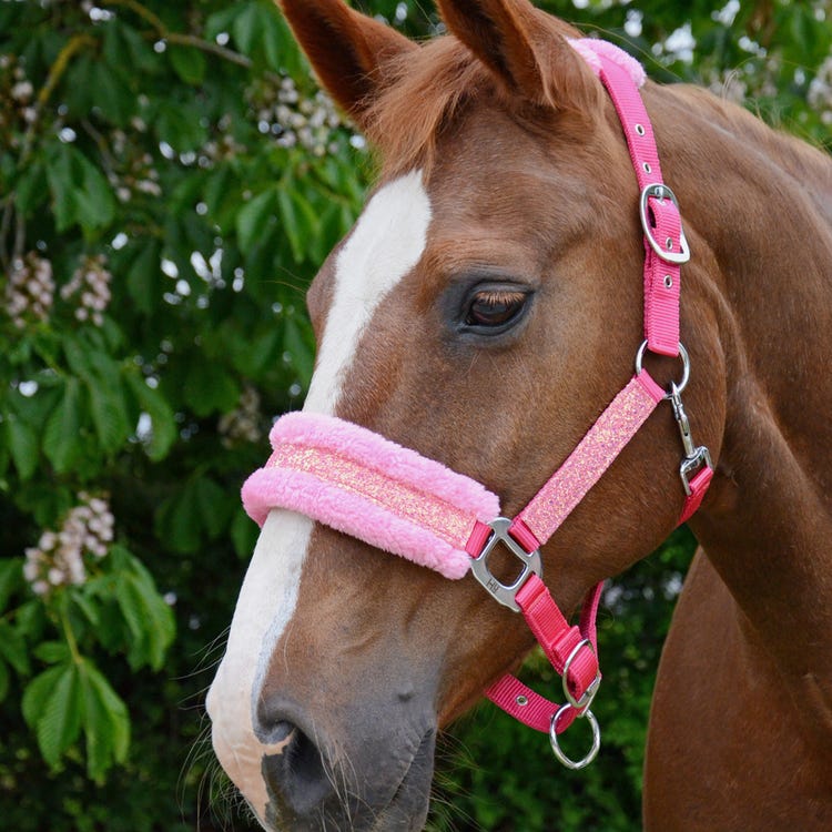 Hy Equestrian Dazzle Head Collar  image 7