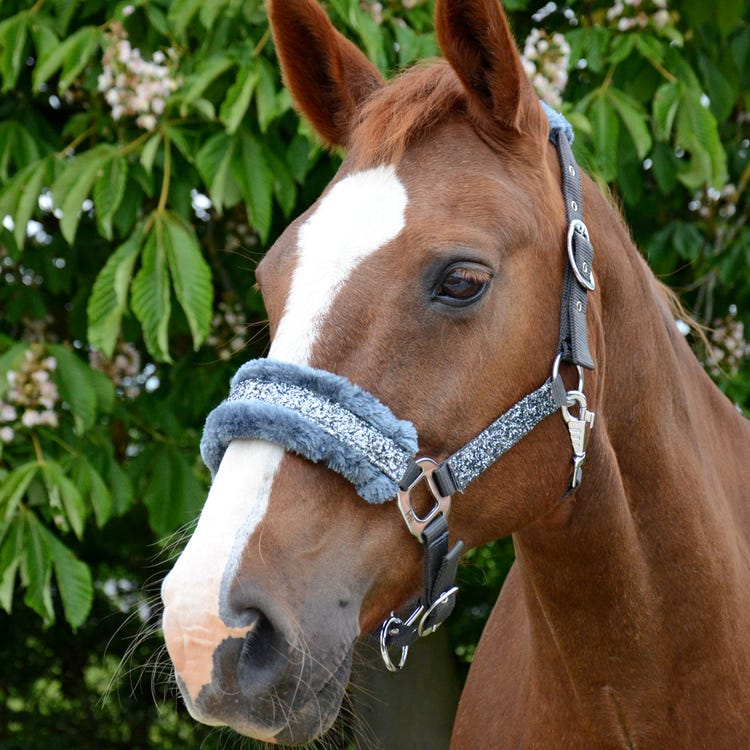 Hy Equestrian Dazzle Head Collar  image 2