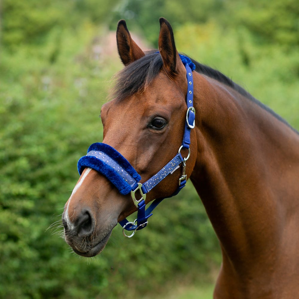 Hy Equestrian Dazzle Head Collar  image 4