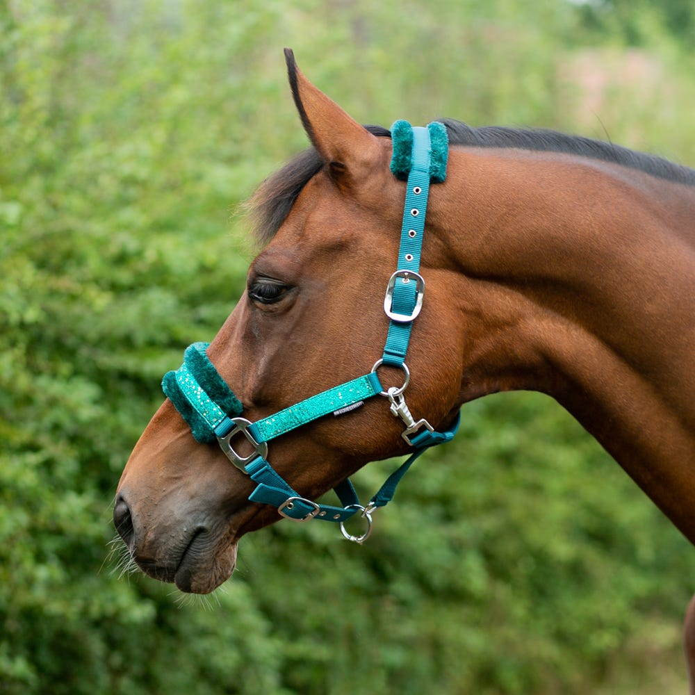 Hy Equestrian Dazzle Head Collar  image 6