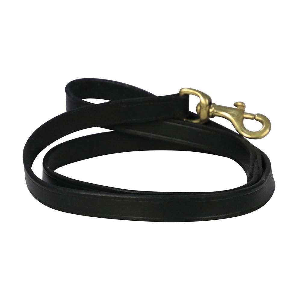 Benji &amp; Flo Deluxe Padded Leather Dog Lead image 1