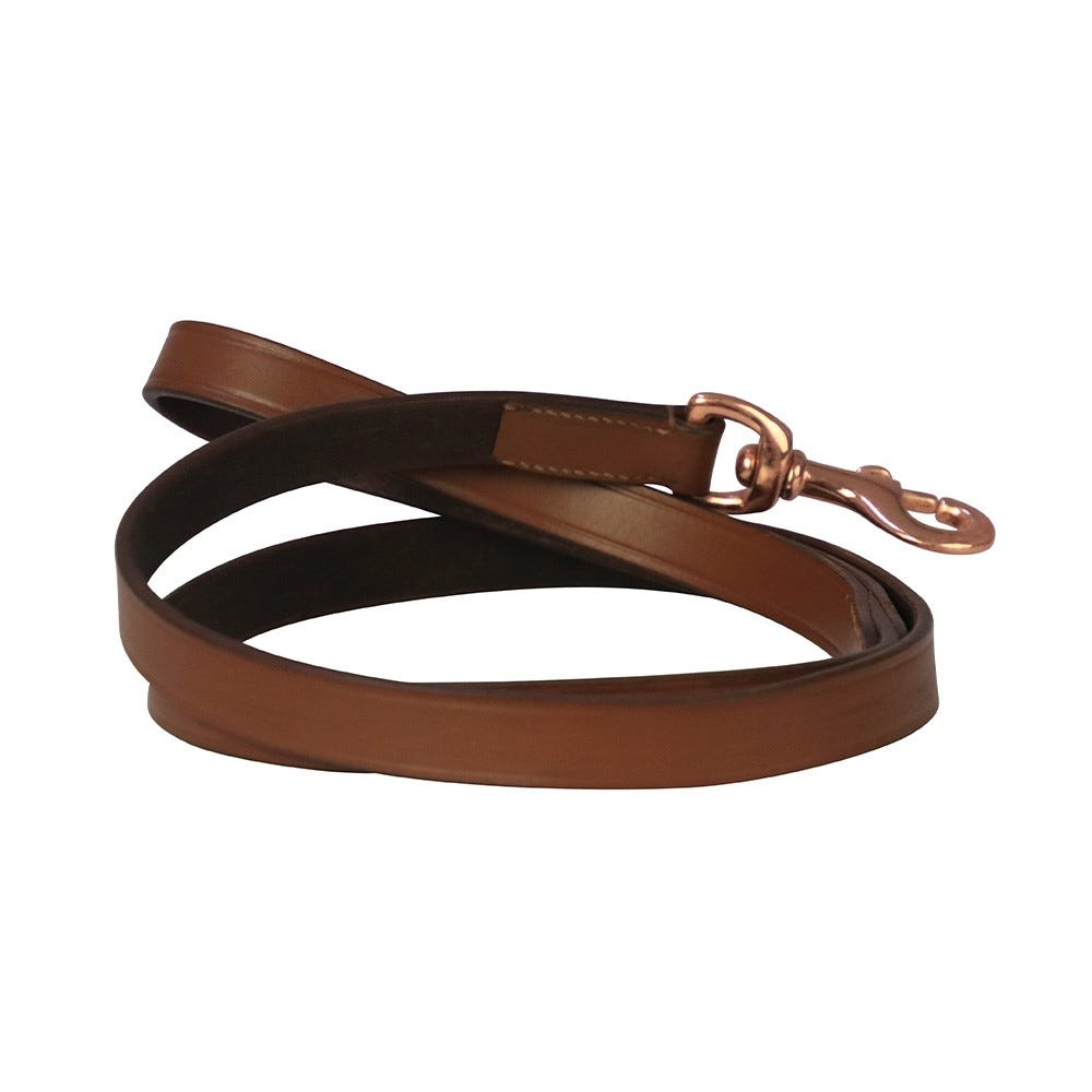 Benji &amp; Flo Deluxe Padded Leather Dog Lead image 2