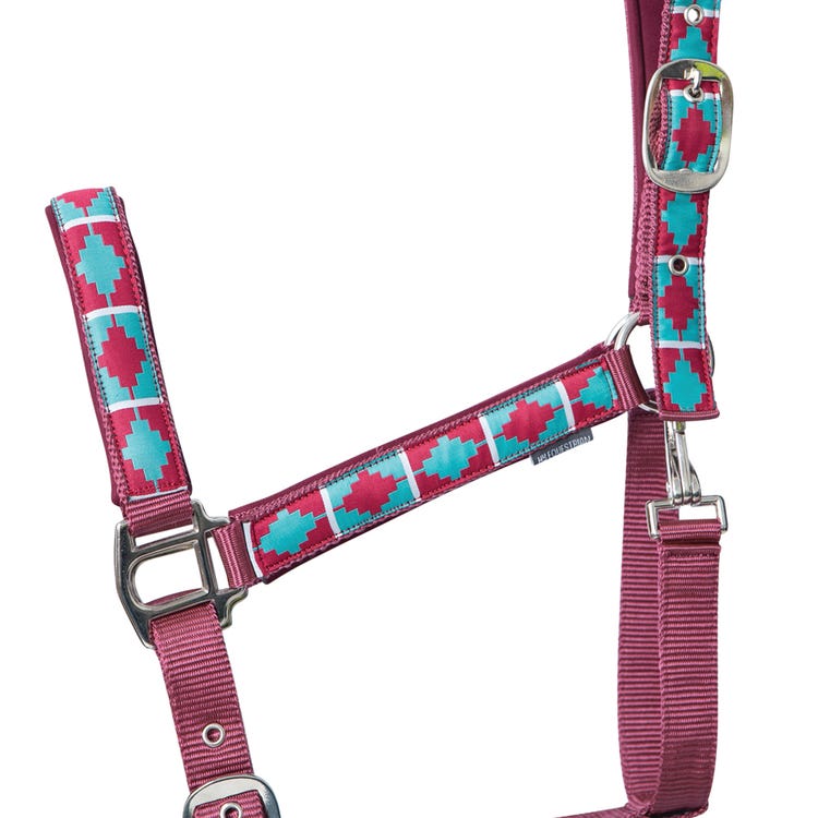 Hy Equestrian Woven Polo Head Collar and Lead Rope image 2