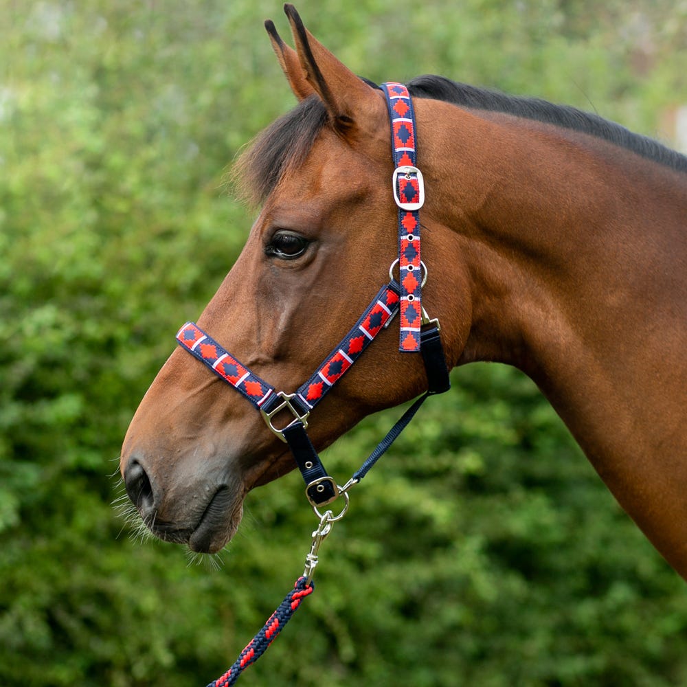 Hy Equestrian Woven Polo Head Collar and Lead Rope image 10