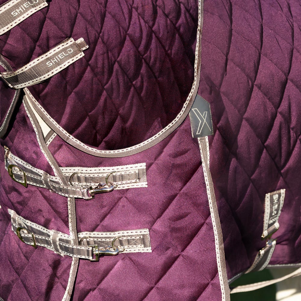 DefenceX Shield 300g Stable Rug with Detachable Neck image 1