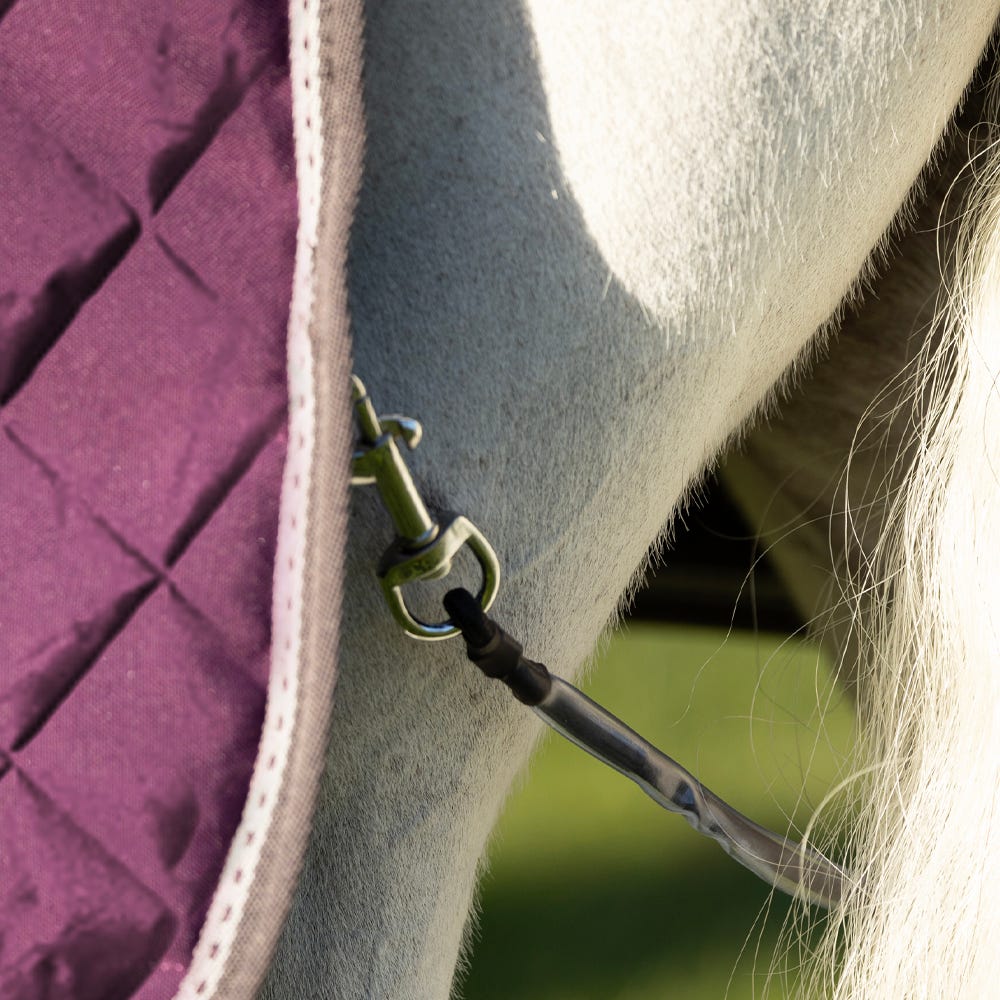 DefenceX Shield 300g Stable Rug with Detachable Neck image 2