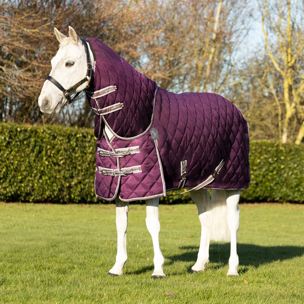DefenceX Shield 300g Stable Rug with Detachable Neck image 3