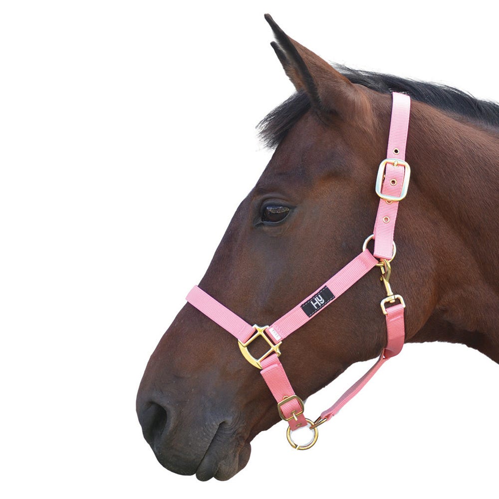 Hy Head Collar image 1