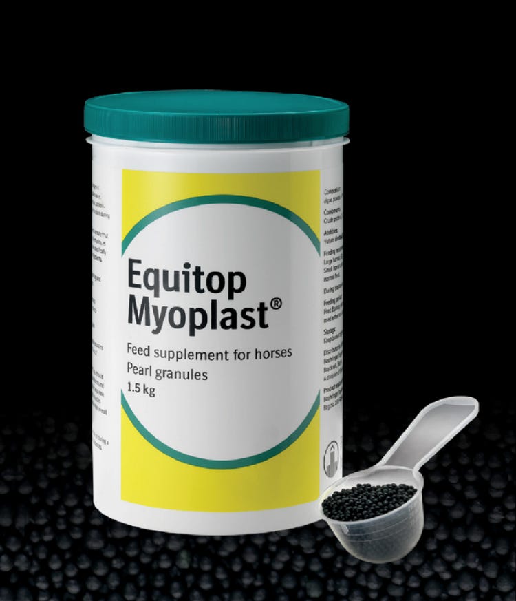 Equitop Myoplast image 2