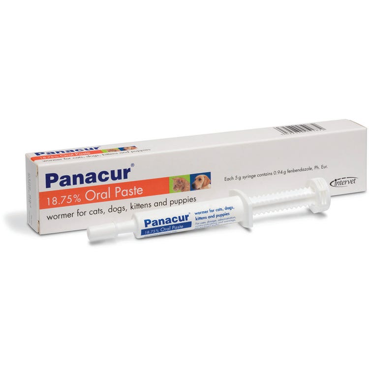 Panacur Paste for Puppies &amp; Kittens image 2