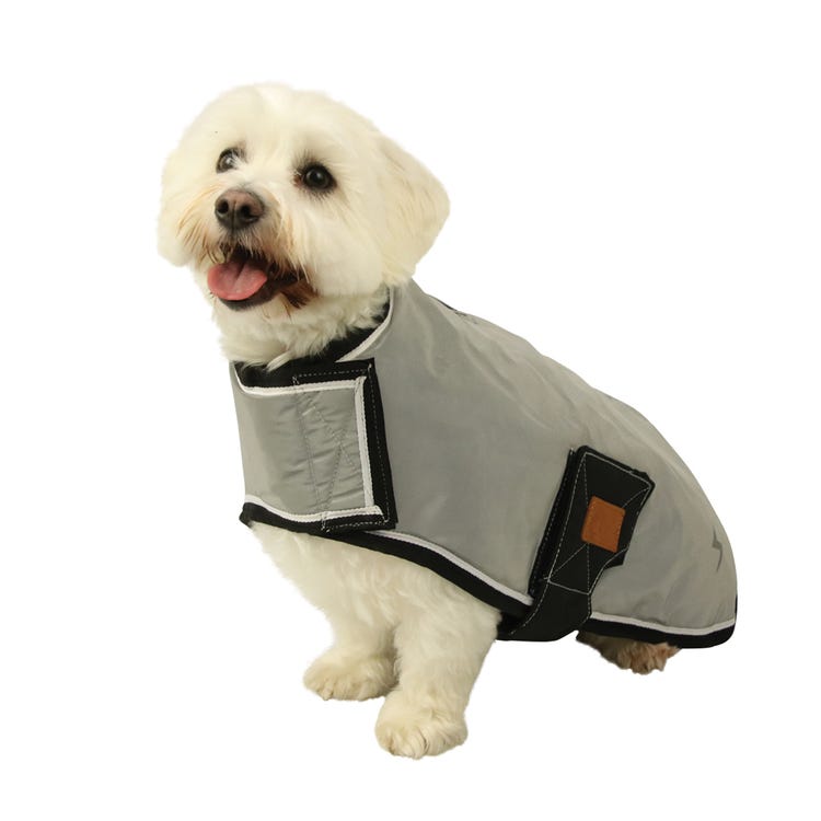 Benji &amp; Flo Silva Flash Dog Coat image 2