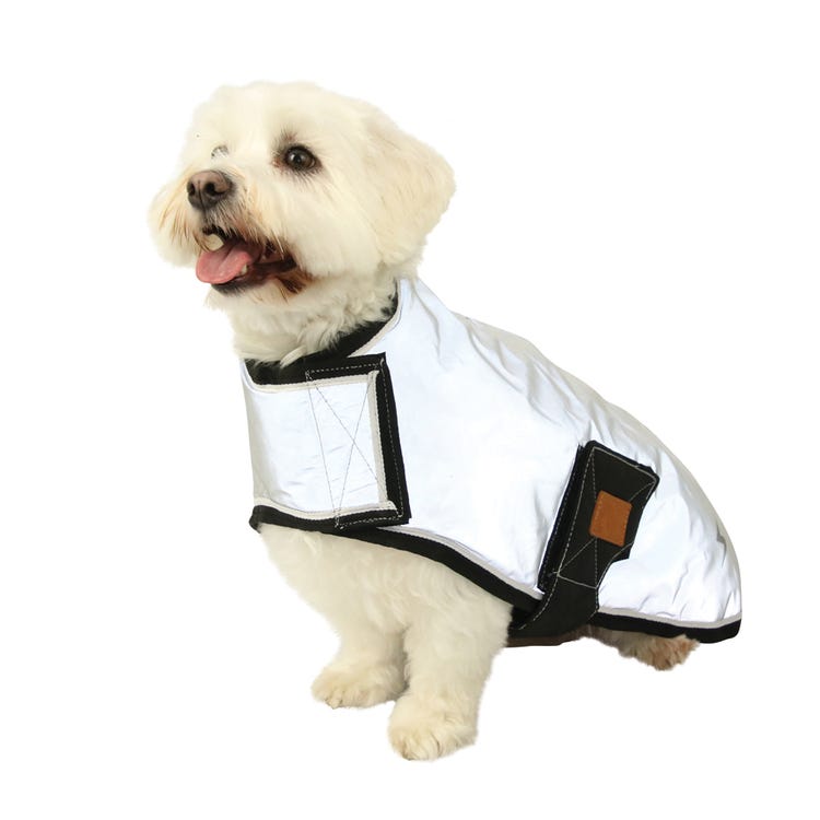 Benji &amp; Flo Silva Flash Dog Coat image 3