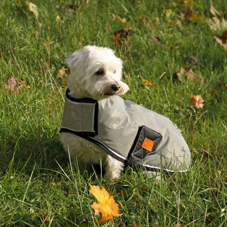 Benji &amp; Flo Silva Flash Dog Coat image 4