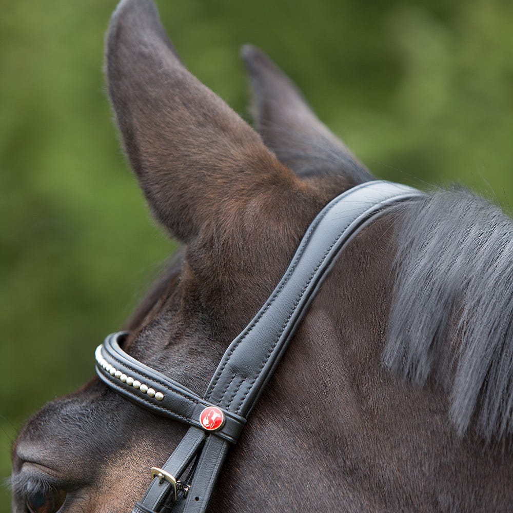 Kieffer Ultrasoft Snaffle Bridle image 6