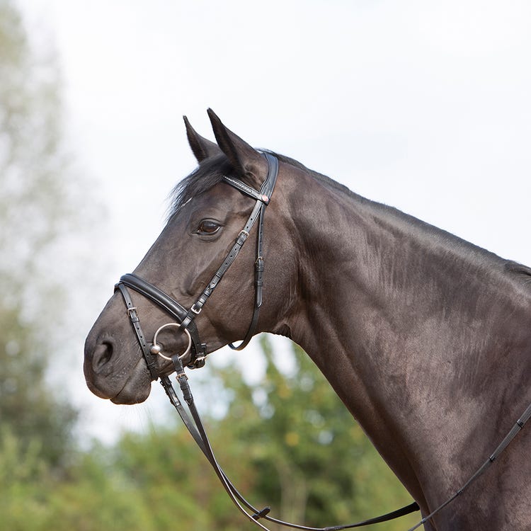 Kieffer Ultrasoft Snaffle Bridle image 2