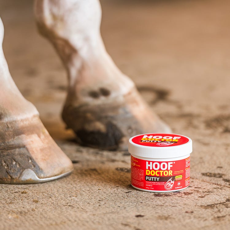 Equine One Hoof Doctor Putty image 2