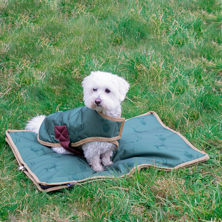 Benji &amp; Flo Divine Deer Dog Bed image 5