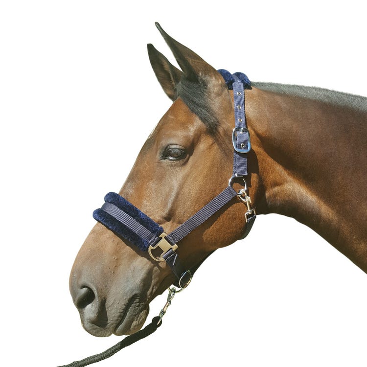 Hy Equestrian Faux Fur Padded Head Collar with Lead Rope image 1